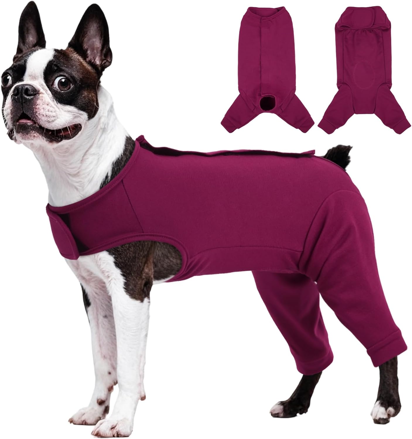 Rear Leg Recovery Suit for Dogs