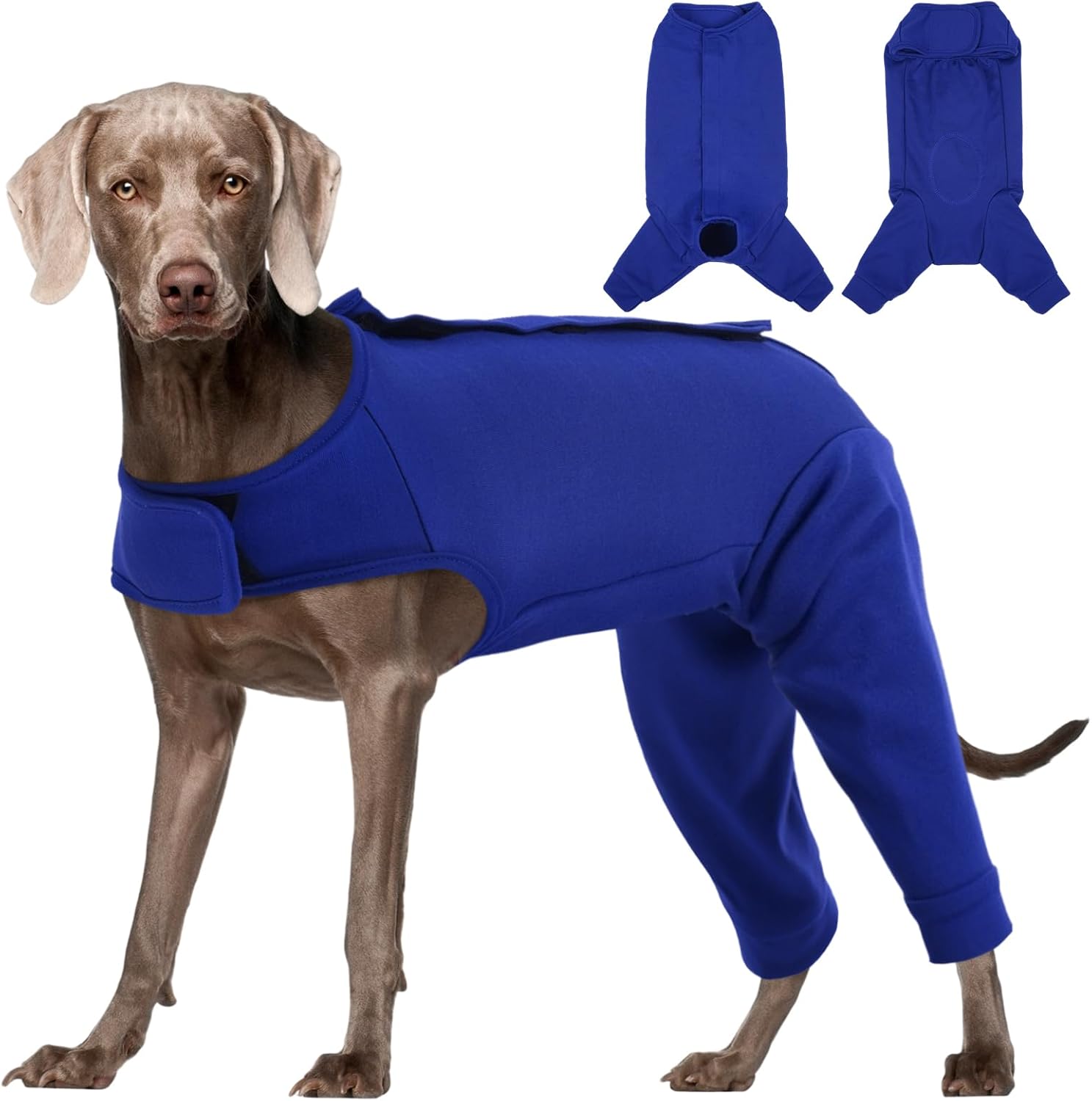 Rear Leg Recovery Suit for Dogs