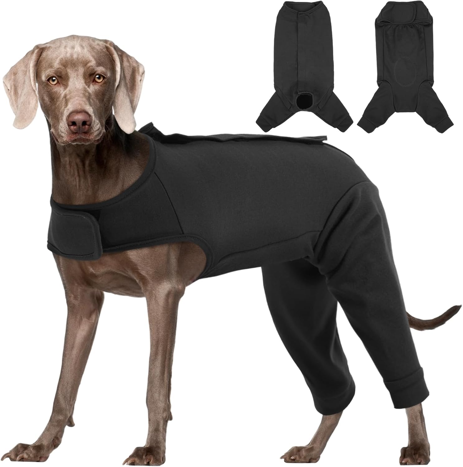 Rear Leg Recovery Suit for Dogs