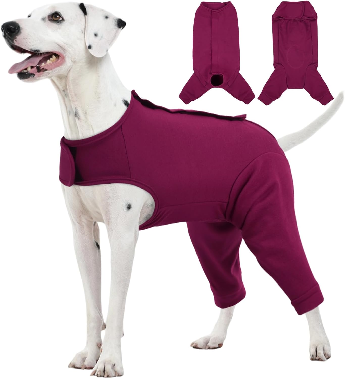 Rear Leg Recovery Suit for Dogs