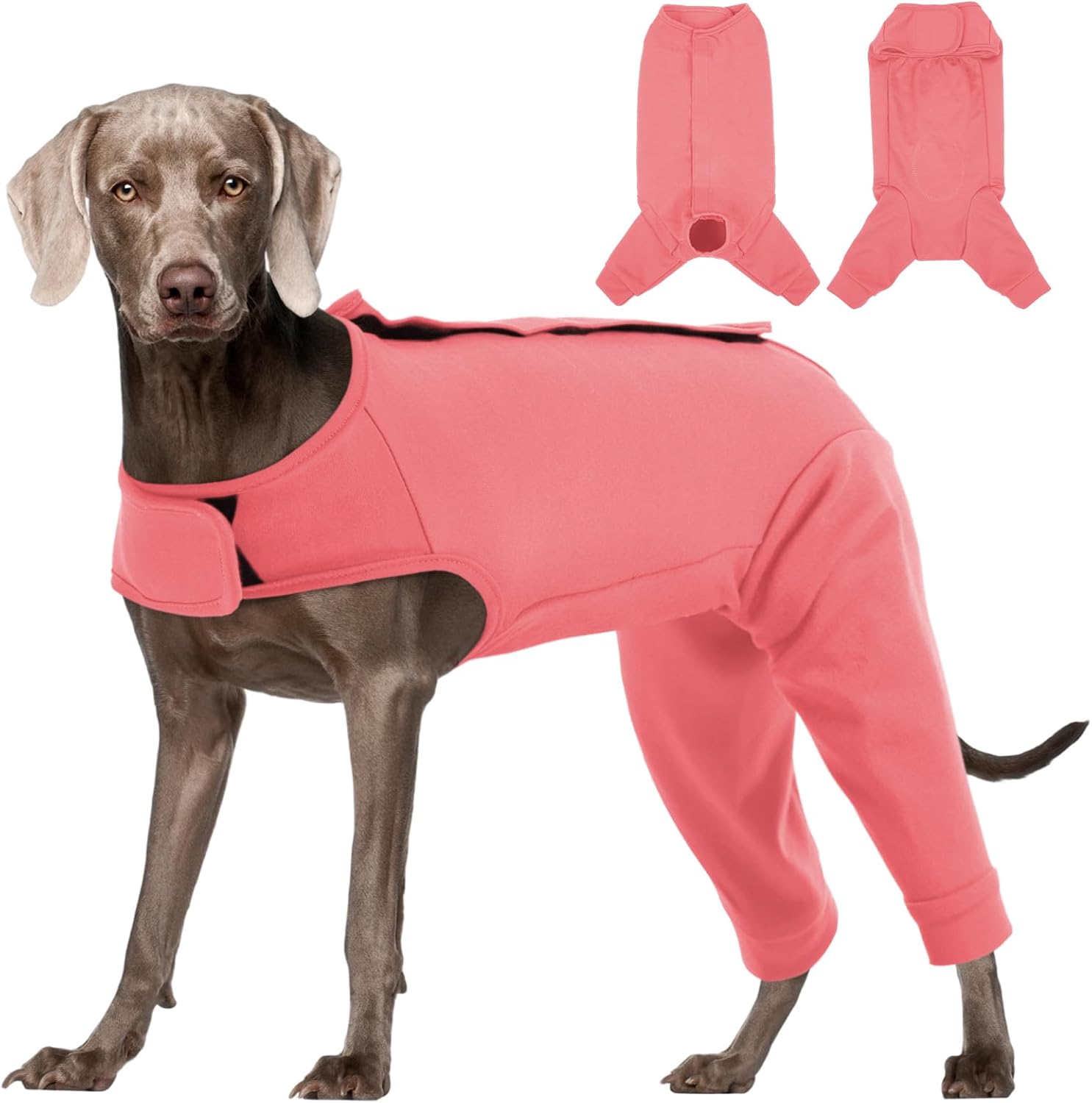 Rear Leg Recovery Suit for Dogs