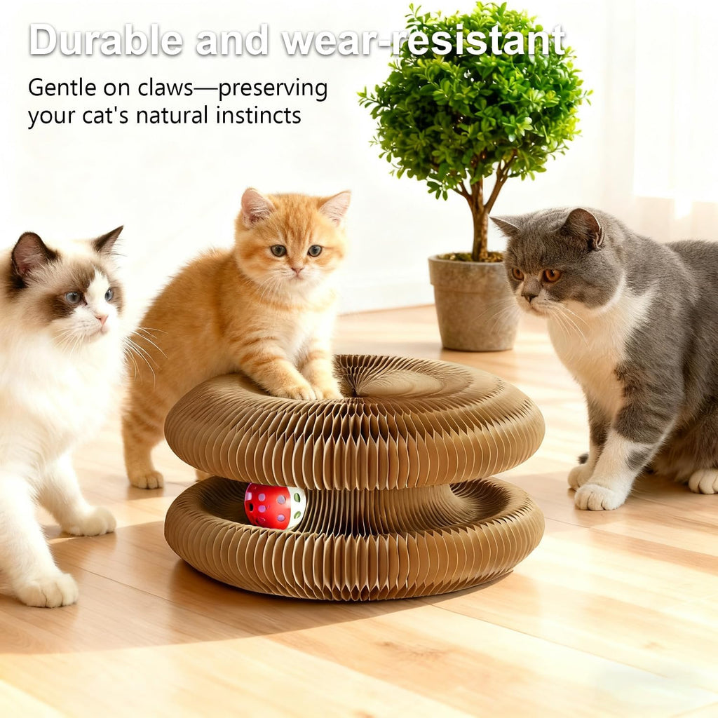 Foldable Cardboard Cat Scratcher Toy for Indoor Cats, Interactive Magic Organ Scratch Board for Play, Scratching & Boredom Relief
