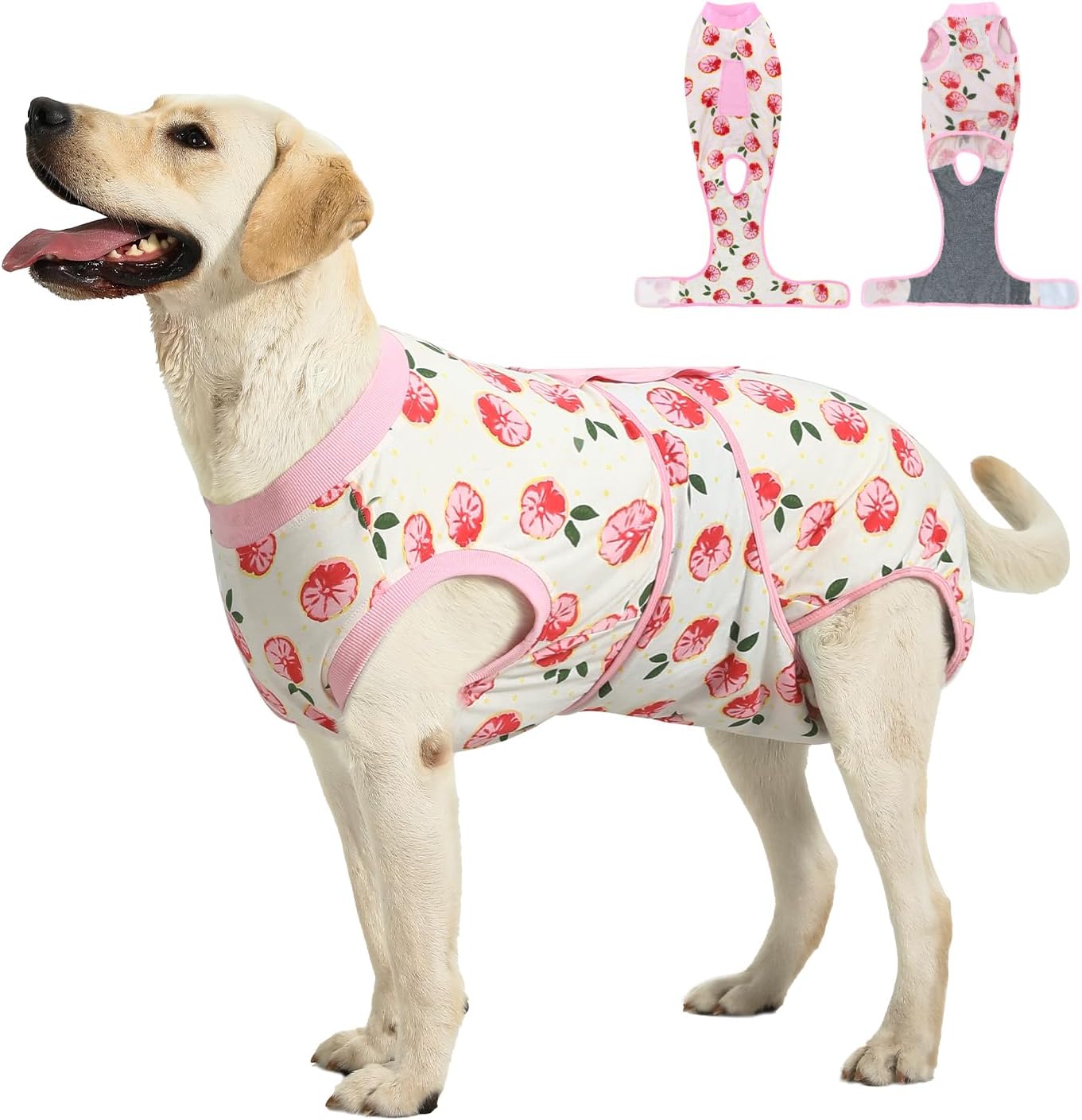 Pet Recovery Suit – Cone Alternative for Dogs & Cats