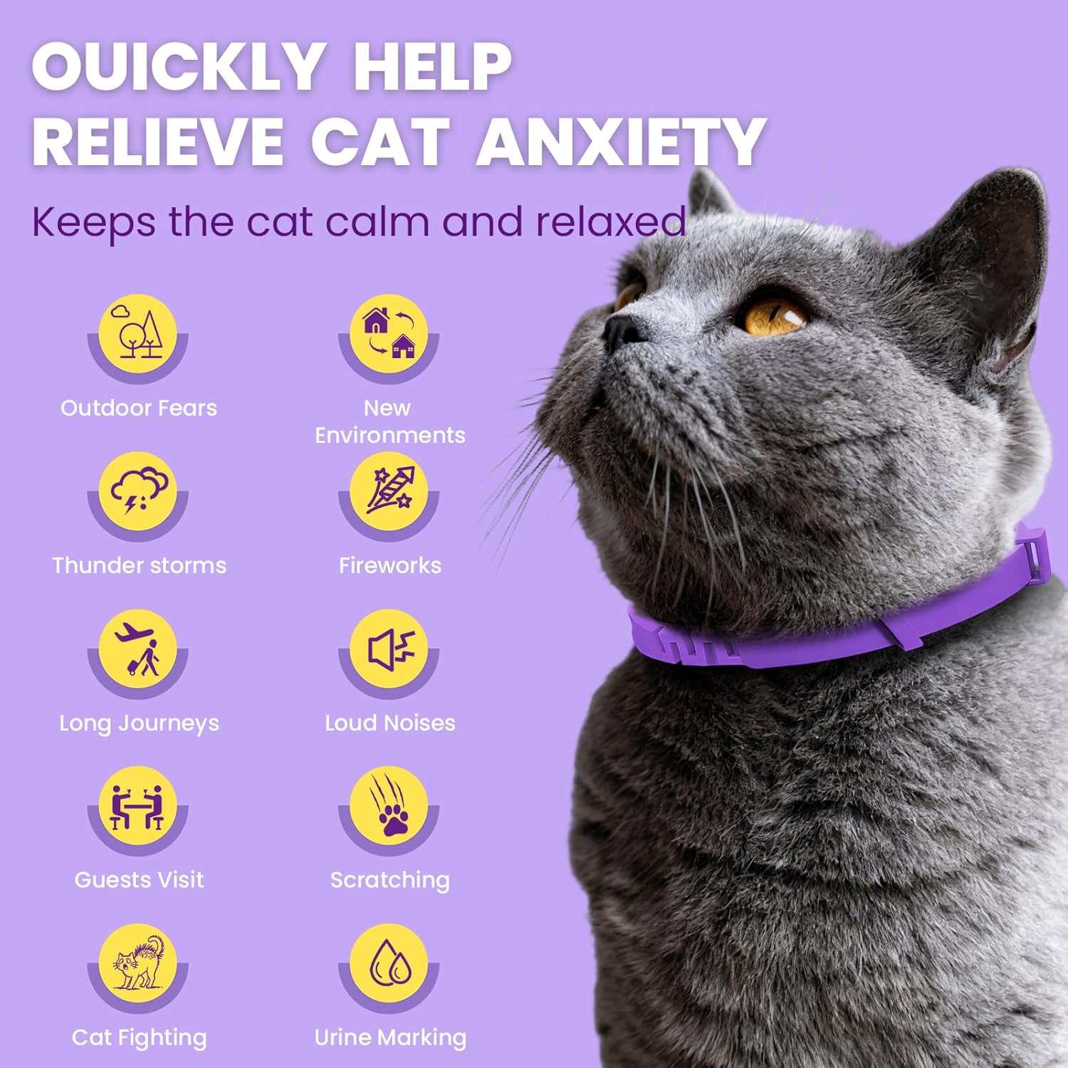 Calming Pheromone Collar for Cats (4-Pack) – Long-Lasting Comfort