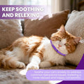 Calming Pheromone Collar for Cats (4-Pack) – Long-Lasting Comfort
