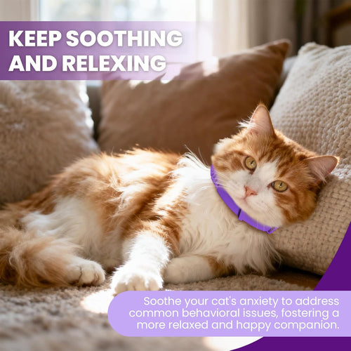 Calming Pheromone Collar for Cats (4-Pack) – Long-Lasting Comfort