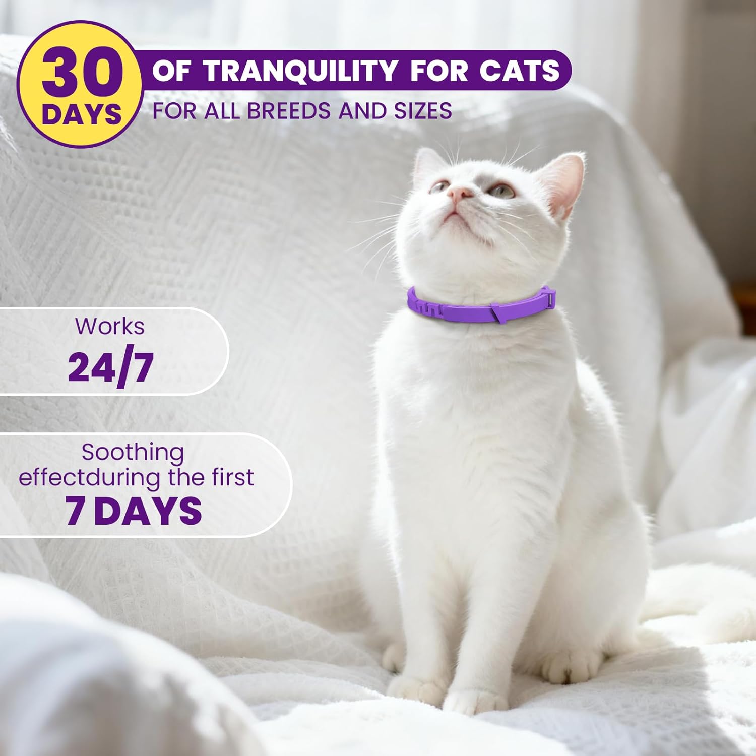 Calming Pheromone Collar for Cats (4-Pack) – Long-Lasting Comfort