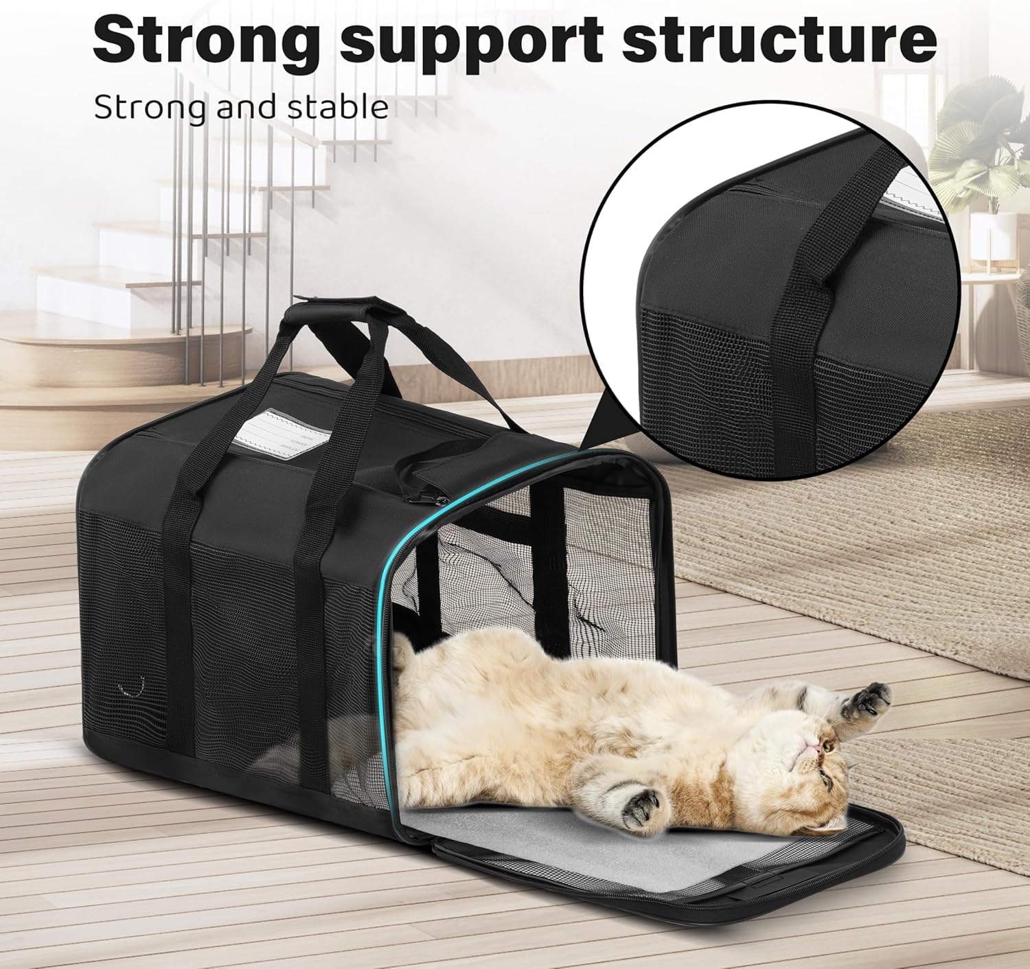 Soft-Sided Pet Travel Carrier for Cats & Small Dogs Collapsible & Durable · 17" x 12" x 12" · Up to 17 lbs · Black
